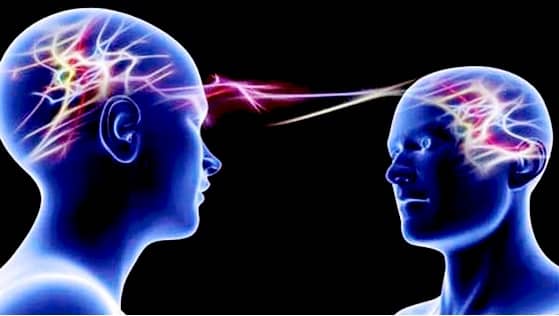 Brain to Brain interface.