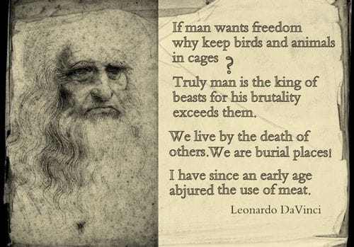 Leonardo Da Vinci on Vegetarianism