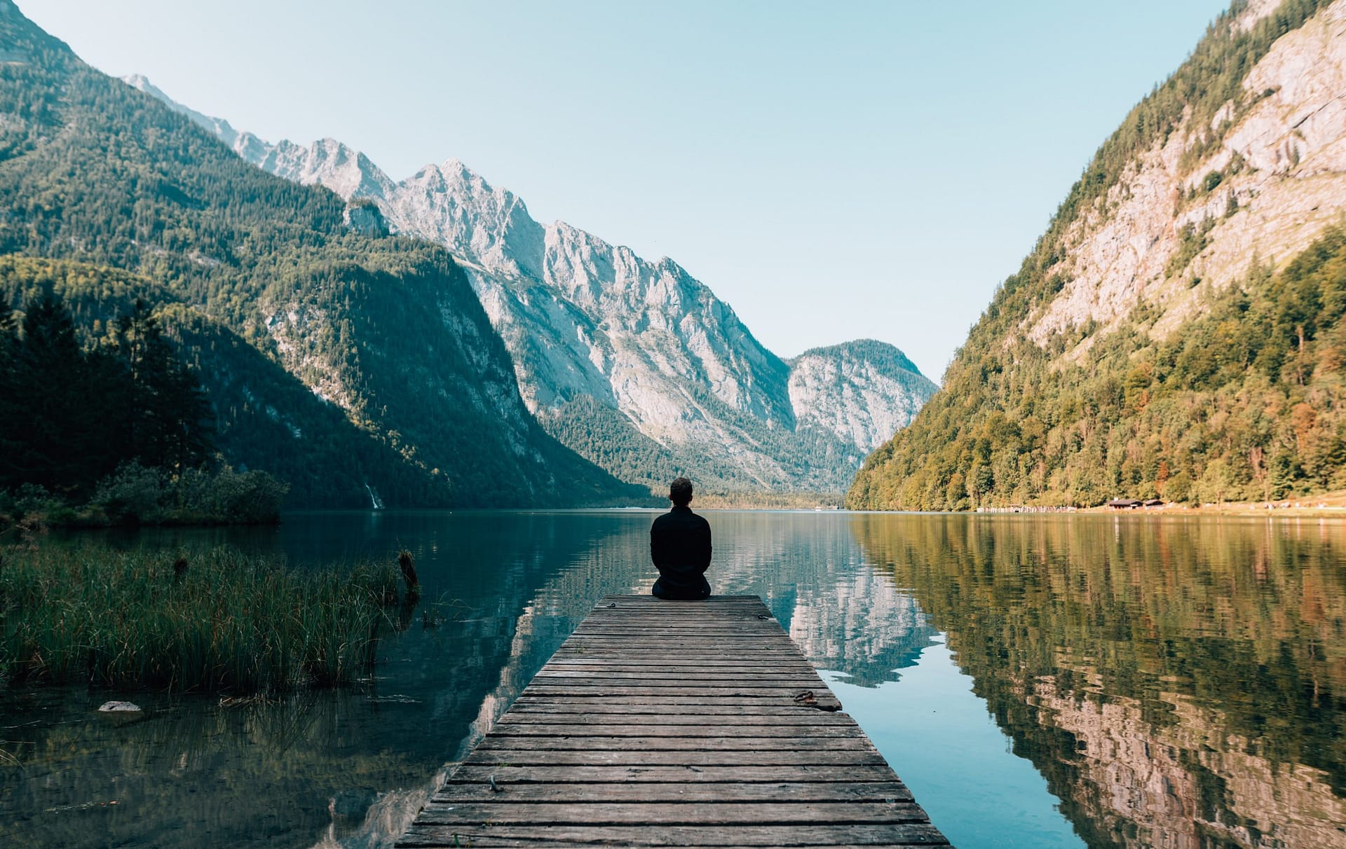 What Science tells us about a Focused Mind and how to get that?