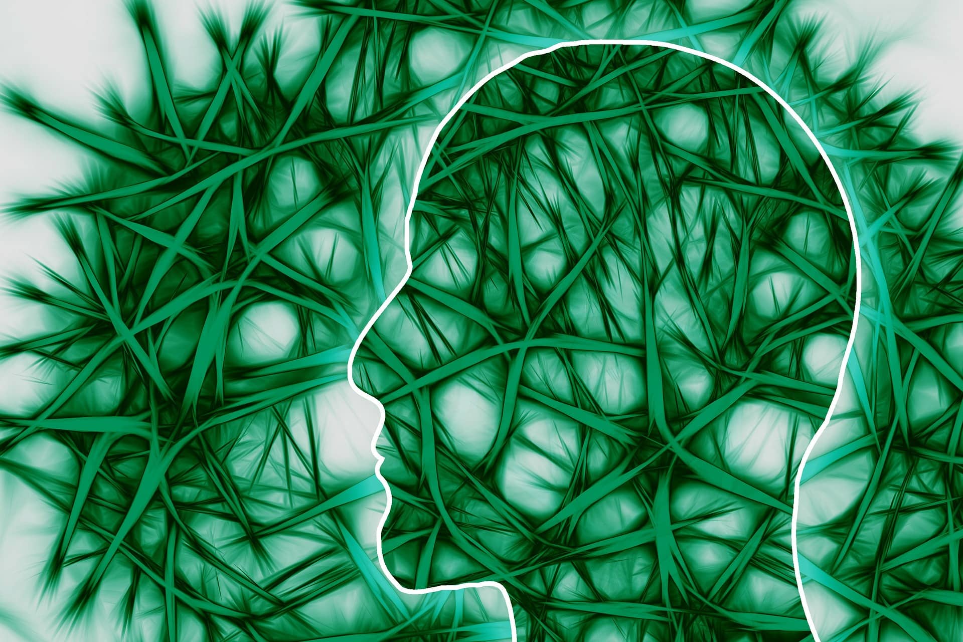 The Enigma of Human Brain