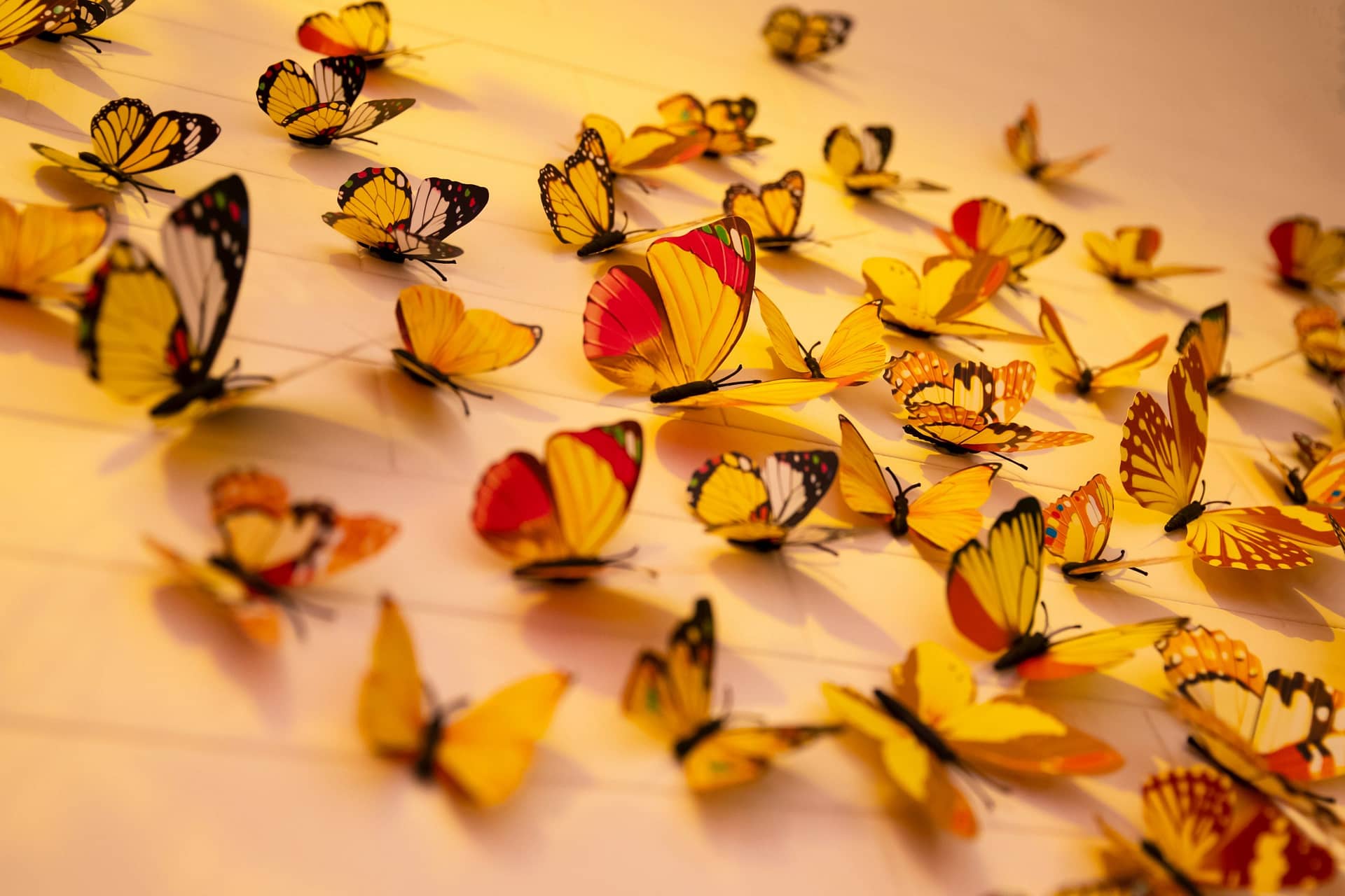 The Power of The Butterfly Effect