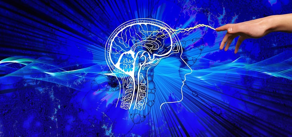Neuralink: The New Age of  Human Brain
