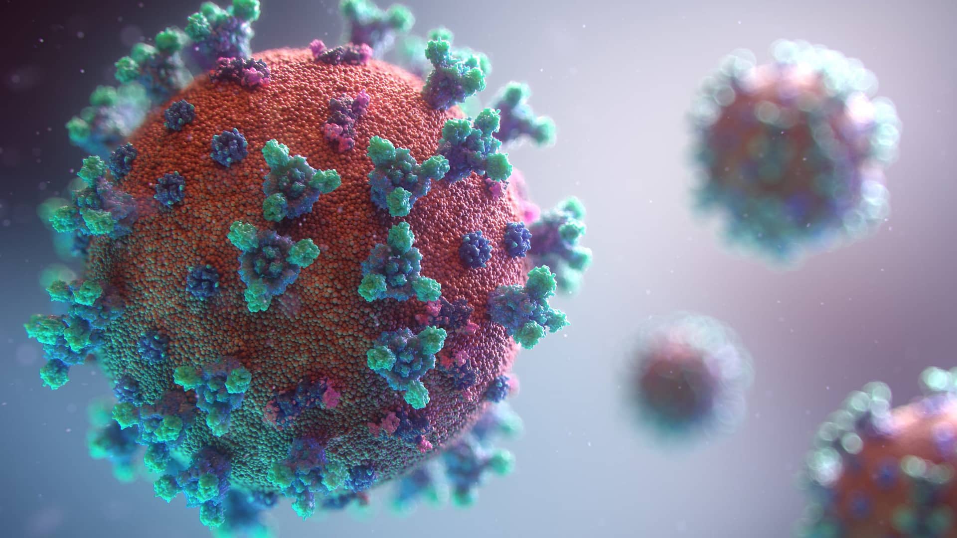 How The Coronavirus Pandemic Shaping Humanities Future